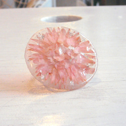 おひさまのリング　ピンク　 1枚目の画像