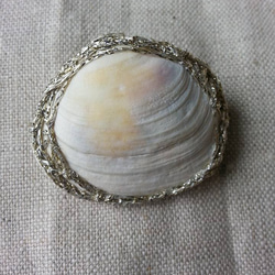 sea jewlry brooch　"shell1”／宇宙のような貝殻のブローチ 2枚目の画像