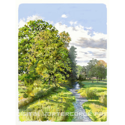 絵画 水彩画 風景画 画題「初夏の川」 絵画 yamakasumi56 通販