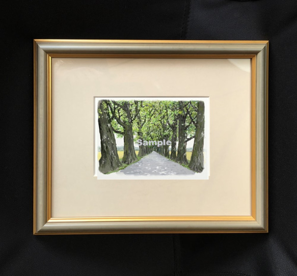 ポストカード ヨーロッパの風景￥250（他の絵と4枚セット売り1.000円） No.35　プロヴァンスの並木道 3枚目の画像