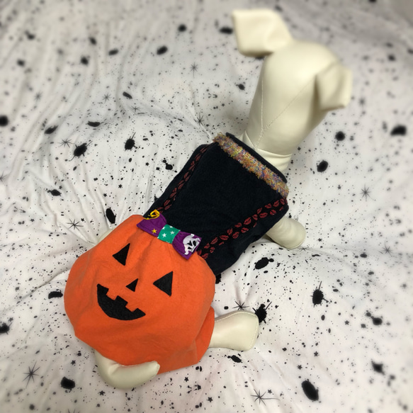 ハロウィンかぼちゃドッグウェア 2枚目の画像