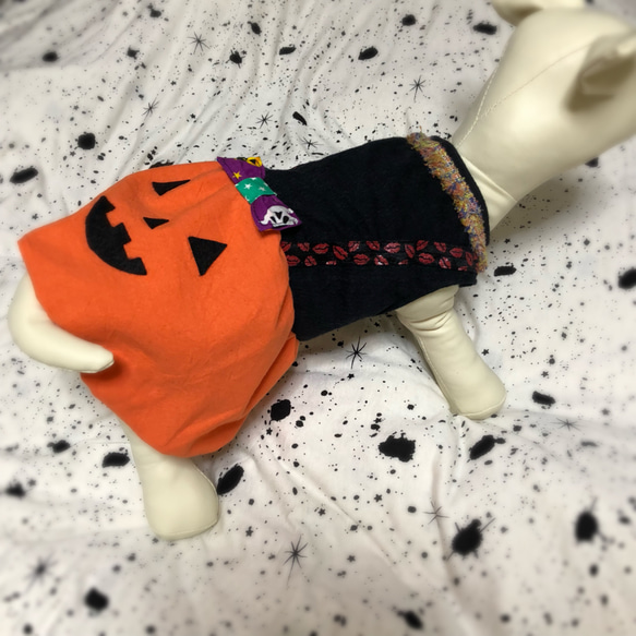 ハロウィンかぼちゃドッグウェア 3枚目の画像