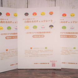 手づくり教材シリーズ『小鳥たちのチェックシート～2017年ケアマネ試験直前対策用～』KCC17 1枚目の画像