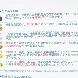 手づくり教材シリーズ『小鳥たちのチェックシート～2018年介護福祉士試験直前対策用～』KCK18 3枚目の画像