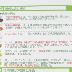 手づくり教材シリーズ『小鳥たちのチェックシート～2018年社会福祉士試験直前対策用～』KS1801 4枚目の画像