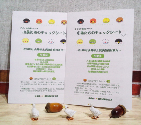 手づくり教材シリーズ『小鳥たちのチェックシート～2018年社会福祉士試験直前対策用(共通科目)～』KS1802 2枚目の画像