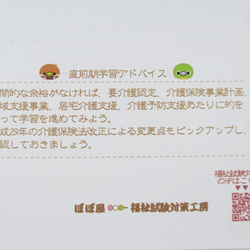 手づくり教材シリーズ『小鳥たちのチェックシート～2018年ケアマネ試験直前対策用～』KCC18 4枚目の画像