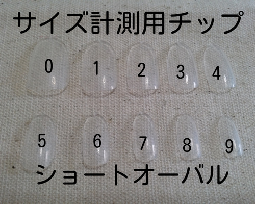 サイズ計測用チップ ショートオーバル ネイルチップ（つけ爪