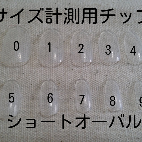 サイズ計測用チップ ショートオーバル ネイルチップ（つけ爪