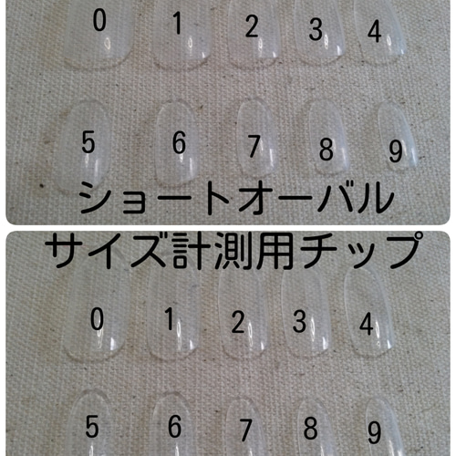 サイズ計測用チップ 4種類 ネイルチップ（つけ爪） MILKY 通販