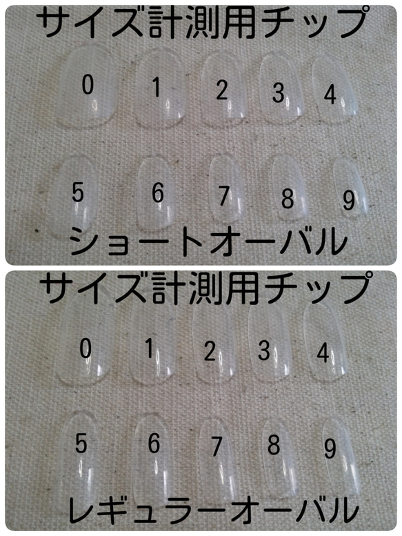 楽天市場】【ショートオーバル/120枚セット】メール便可 AN57
