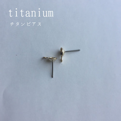 【ピアス金具変更】チタンピアス・真鍮ピアス　titanium/　brass 1枚目の画像