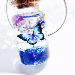 モルフォ蝶と紫陽花のガラスコルク瓶    バッグチャーム   キーホルダー 3枚目の画像