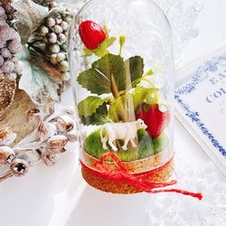 strawberry 苺のガラスドーム    オブジェ  ギフト 5枚目の画像