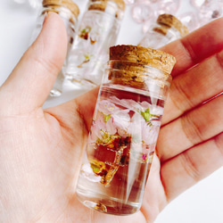 春を告げる啓翁桜の小さなハーバリウム　コルク瓶   桜 6枚目の画像
