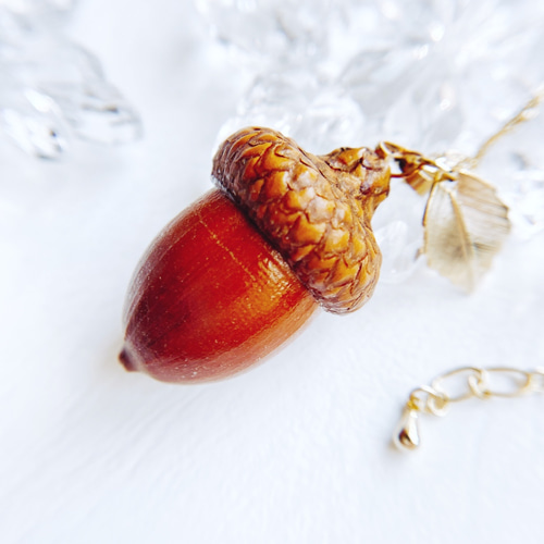 どんぐり 楽天市場】おもしろ USB 2.0 フラッシュメモリ 木製 どんぐり ドングリ