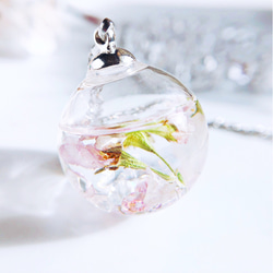 【特集掲載】春を告げる 桜のガラスドーム spring   ネックレス 4枚目の画像