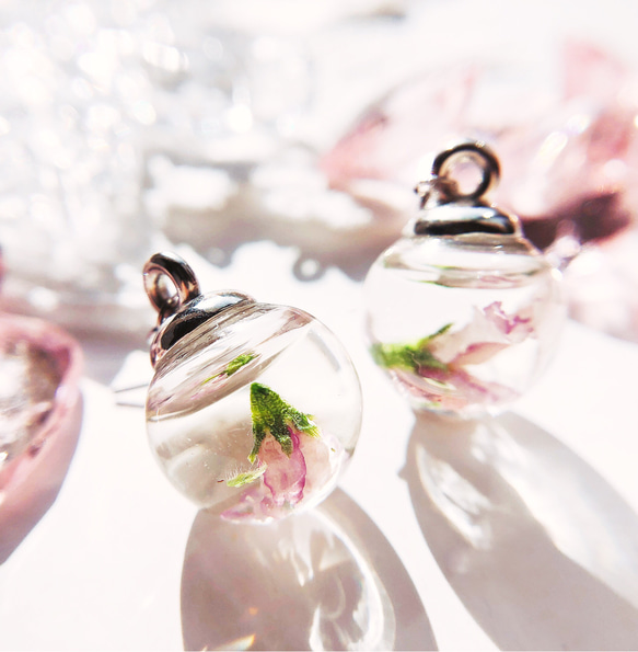 春を告げる桜のガラスドーム spring   Sサイズ ピアス/イヤリング    スワロフスキー 1枚目の画像