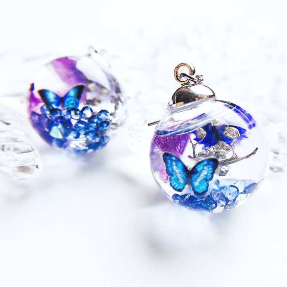 mystic purple 紫陽花とモルフォ蝶のガラスドーム   ピアス/イヤリング 5枚目の画像