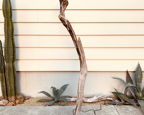 Twist 流木スタンドライト