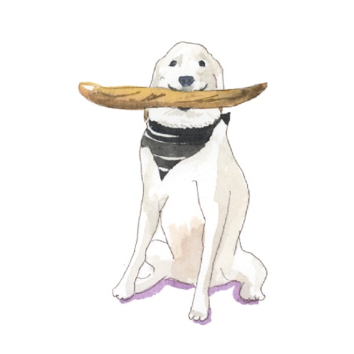 ペット(好きな動物) or ポートレイト】オーダー (水彩/ペン)似顔絵