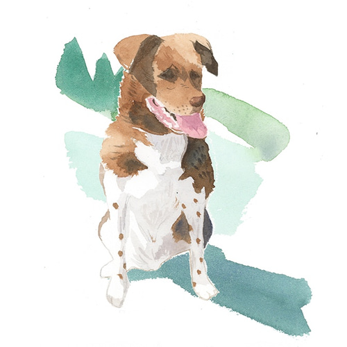 動物画、ペット画(本格水彩画) 動物画、ペット画(本格水彩画) 絵画