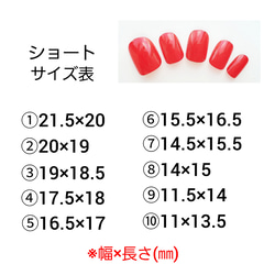 Mee Nails チップサイズの計り方 4枚目の画像