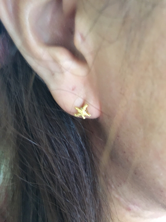 small starfish pierce♡ 2枚目の画像