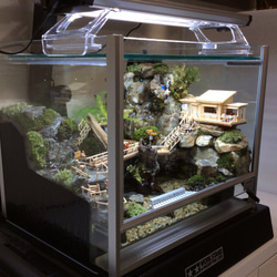 俺の渓谷 vol.10【Diorama & Terrarium/ジオテラ】コテージ：苔テラリウム 3枚目の画像