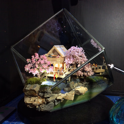 【Diorama & Terrarium/ジオテラ】〓関連作品〓 “series 憩い” 7枚目の画像