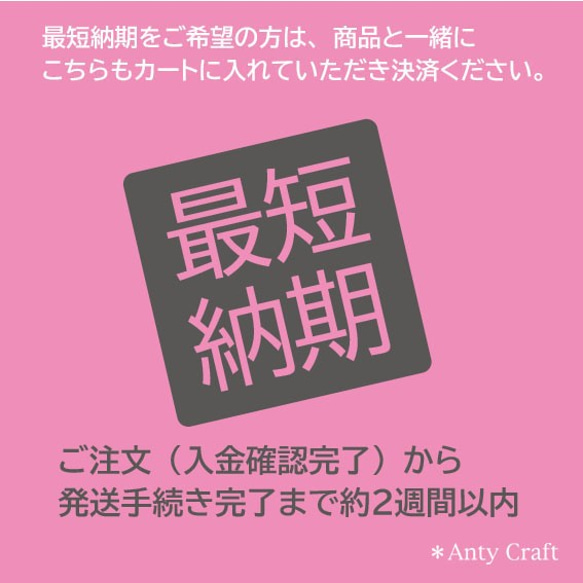 【最短納期】ご希望のお客様はご購入ください。 必ず商品説明をご一読ください 1枚目の画像