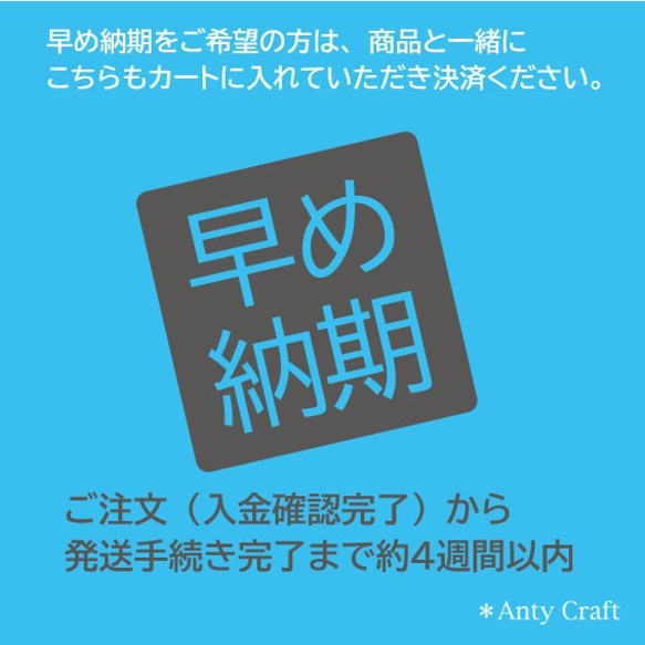 【早め納期】ご希望のお客様はご購入ください。 必ず商品説明をご一読ください 1枚目の画像