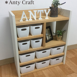 リビング収納　おもちゃ収納（収納ケース大2個＆小4個&ファイルホルダー5個付） リビング収納 おもちゃ収納（収納ケース大2個＆小4個&ファイルホルダー