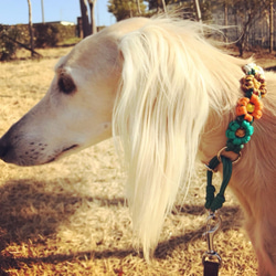 パラコード手編みフラワー首輪#503 小型犬〜大型犬向き 10枚目の画像