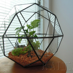 植物育成棚 ダクトレール付き 男前インテリア アイアンシェルフ 棚