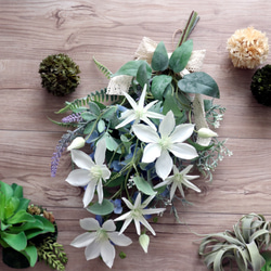 ユーカリコットンリース ドライフラワー petit chocolat 通販 18465515