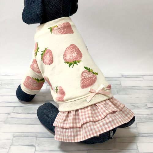 激安先着 恋いちごワンピースのセットイントレーナー犬服 （胴回り33〜49 犬服・アクセサリー