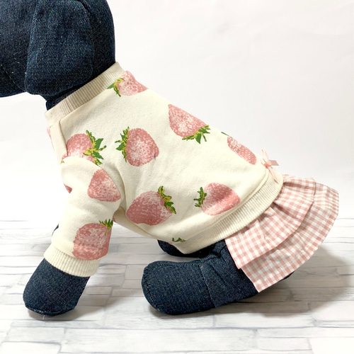 恋いちごのセットイントレーナー犬服 （胴回り33〜49センチ）