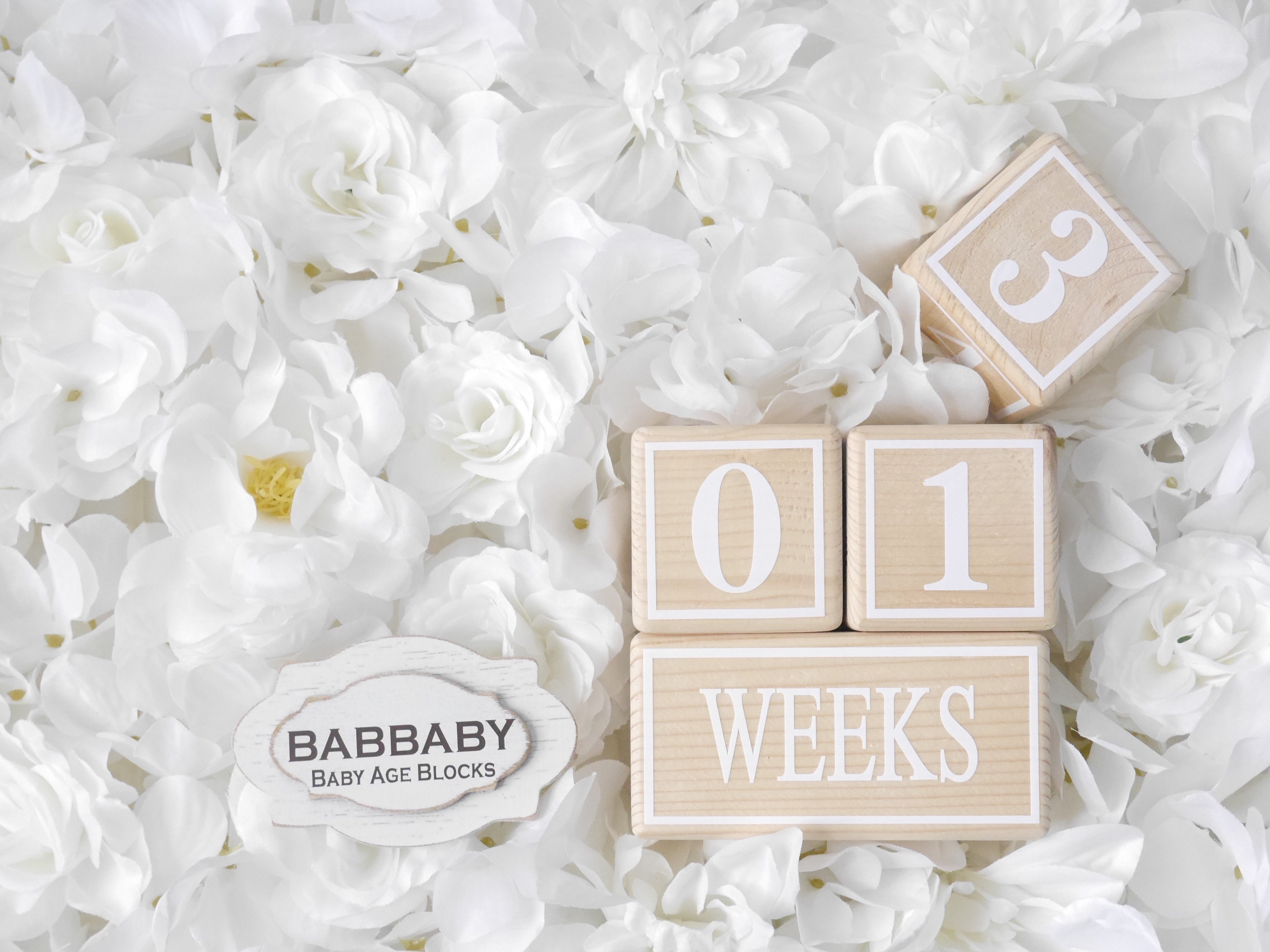 Frame【ホワイトフレーム】ベイビーエイジブロック　マタニティーからの成長記録