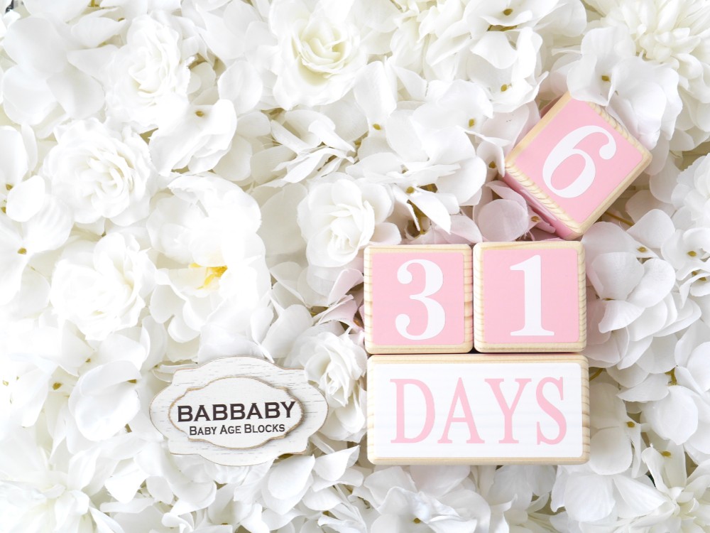 Pastel【パステルピンク】ベイビーエイジブロック　マタニティーからの成長記録