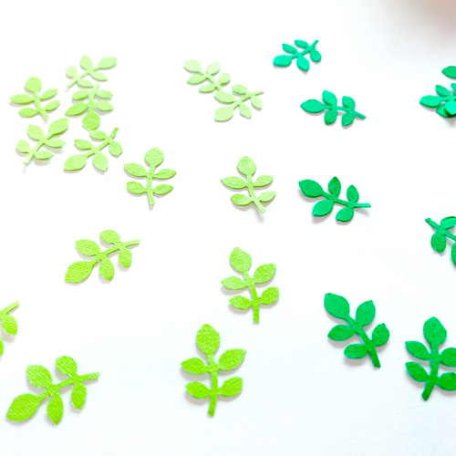 丸い葉っぱ＊100枚 再販7 その他素材 しらたま杏子 通販 10828722  