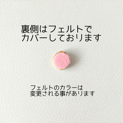 送料無料★チョコミントのピアス 3枚目の画像