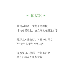 SAVE THE EARTH ステッカー 〜BIRTH〜 3枚目の画像