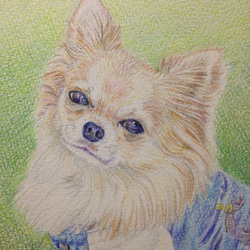 ペットの肖像画 色鉛筆2Lサイズ 3枚目の画像