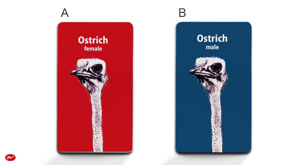 Originalモバイルバッテリー「ダチョウ_Ostrich」 2枚目の画像