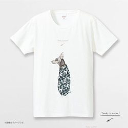 OriginalTシャツ「Doberman」送料込み 2枚目の画像