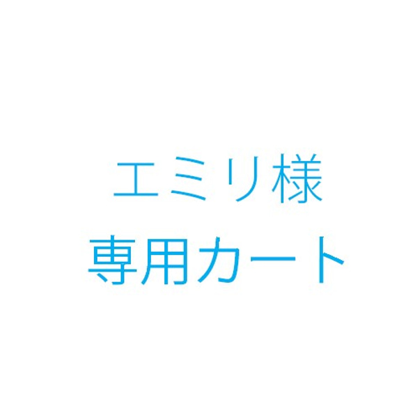 エミリ様オーダー品 1枚目の画像