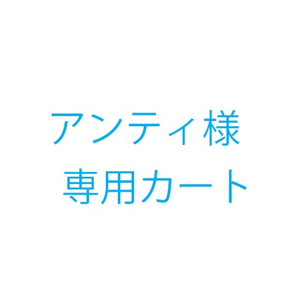 アンティ様追加料金 1枚目の画像