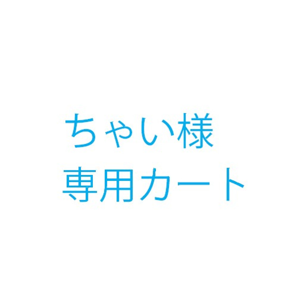 ちゃい様オーダー品 1枚目の画像