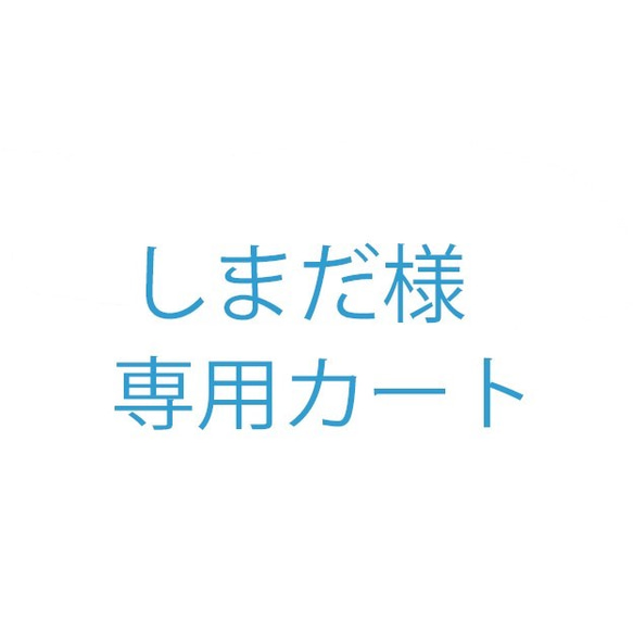 しまだ様オーダー品 1枚目の画像